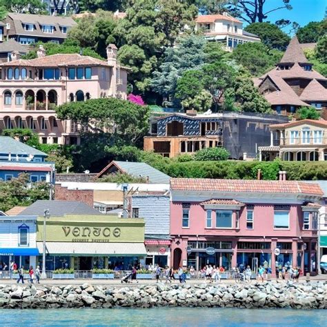 knee near sausalito